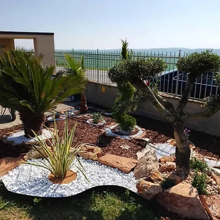 Luxury Daisy * San Giorgio di Pesaro